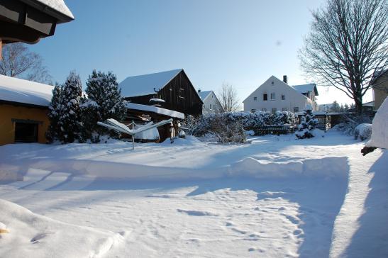 Garten im Winter